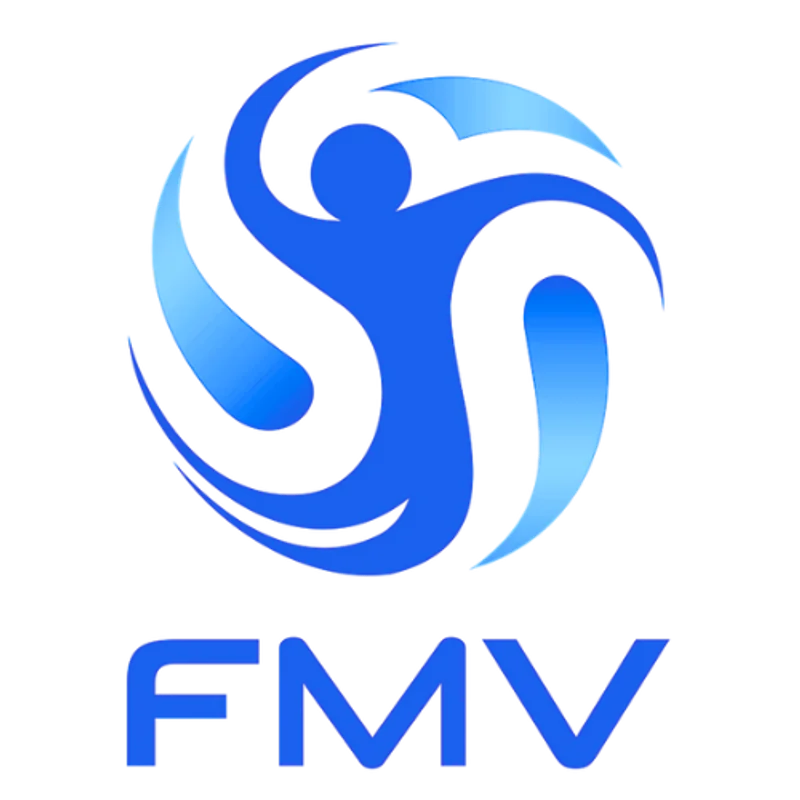 FMV - Monitor de Gestión